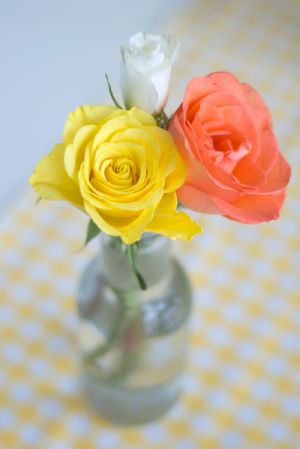 Photos of vases - coloured roses in glass vase.jpg